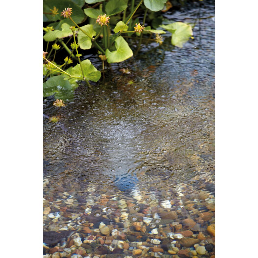 Teichfilter 'AquaOxy 500'
