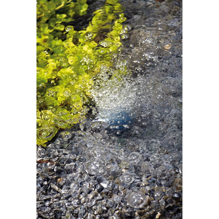 Teichfilter 'AquaOxy 500'