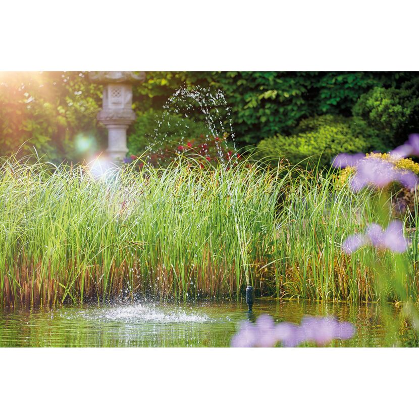 Springbrunnen in einem Gartenteich.