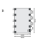 Doppelcarport 'Carlos 3' Kiefer PVC-Dach mit einem Einfahrtsbogen 860 x 598 x 237