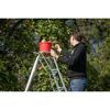 Person erntet Äpfel mit 3-Holm-Gartenleiter