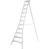 3-Holm-Gartenleiter Aluminium silbern 128 x 248 x 337 cm