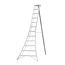 3-Holm-Gartenleiter Aluminium silbern 187 x 248 x 337 cm