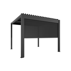 Seitenmarkise dunkelgrau elektrisch 270,8 x 217,5 x 10 cm