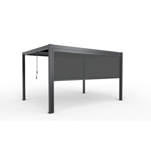 Seitenmarkise dunkelgrau elektrisch 369,8 x 217,5 x 10 cm