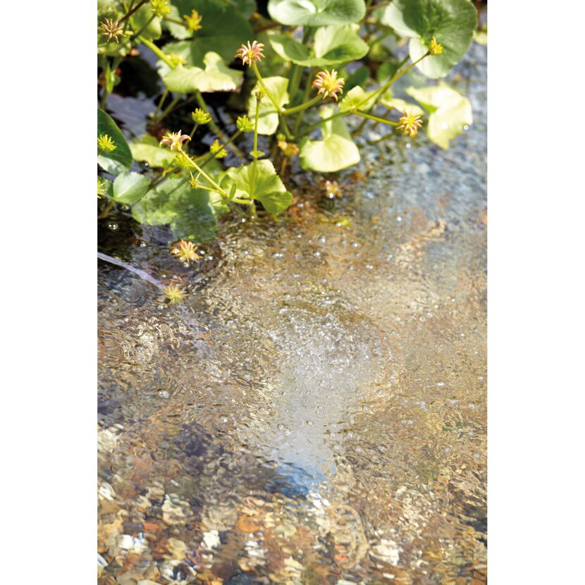 Sauerstoffpumpe bläst Luft in einen Teich.