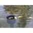 Teichskimmer Aquaskim 40