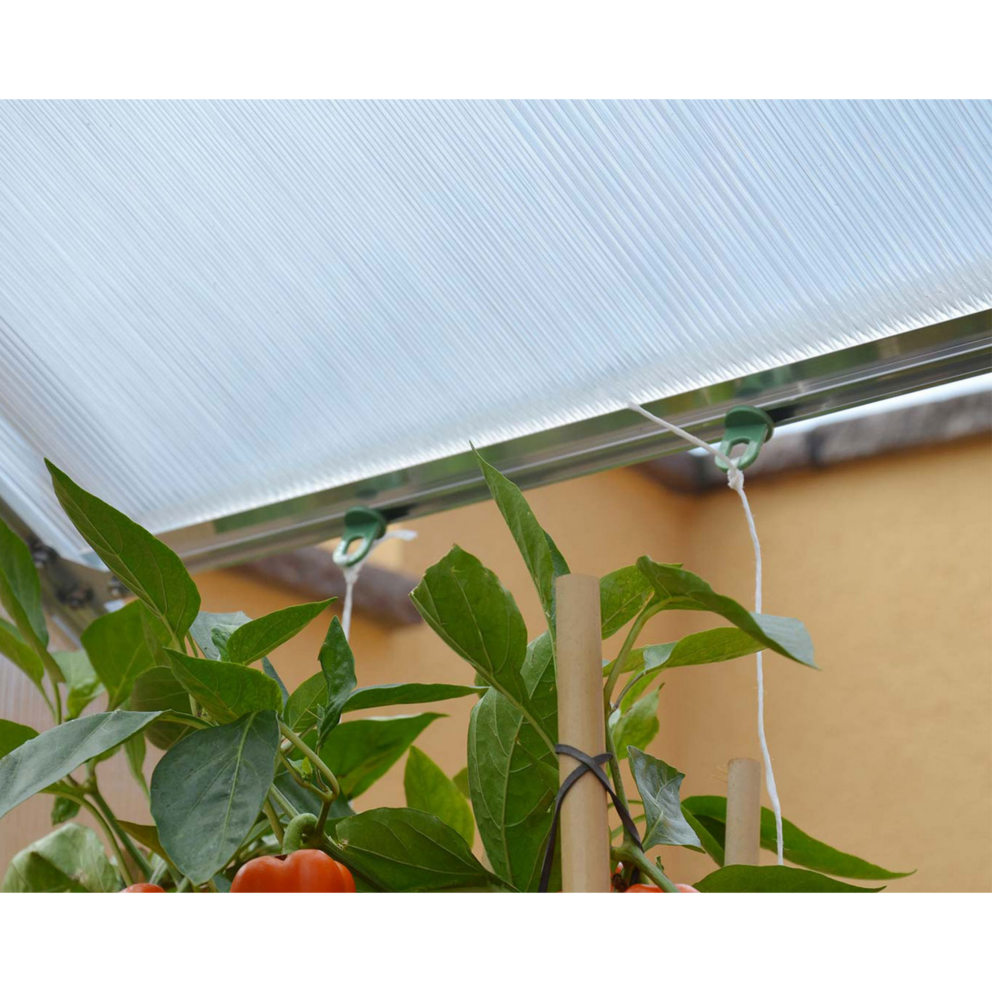 Pflanzenaufhänger für Gewächshaus grün 10er-Pack