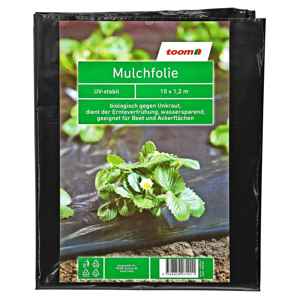 Schwarze Mulchfolie mit Erdbeerpflanze