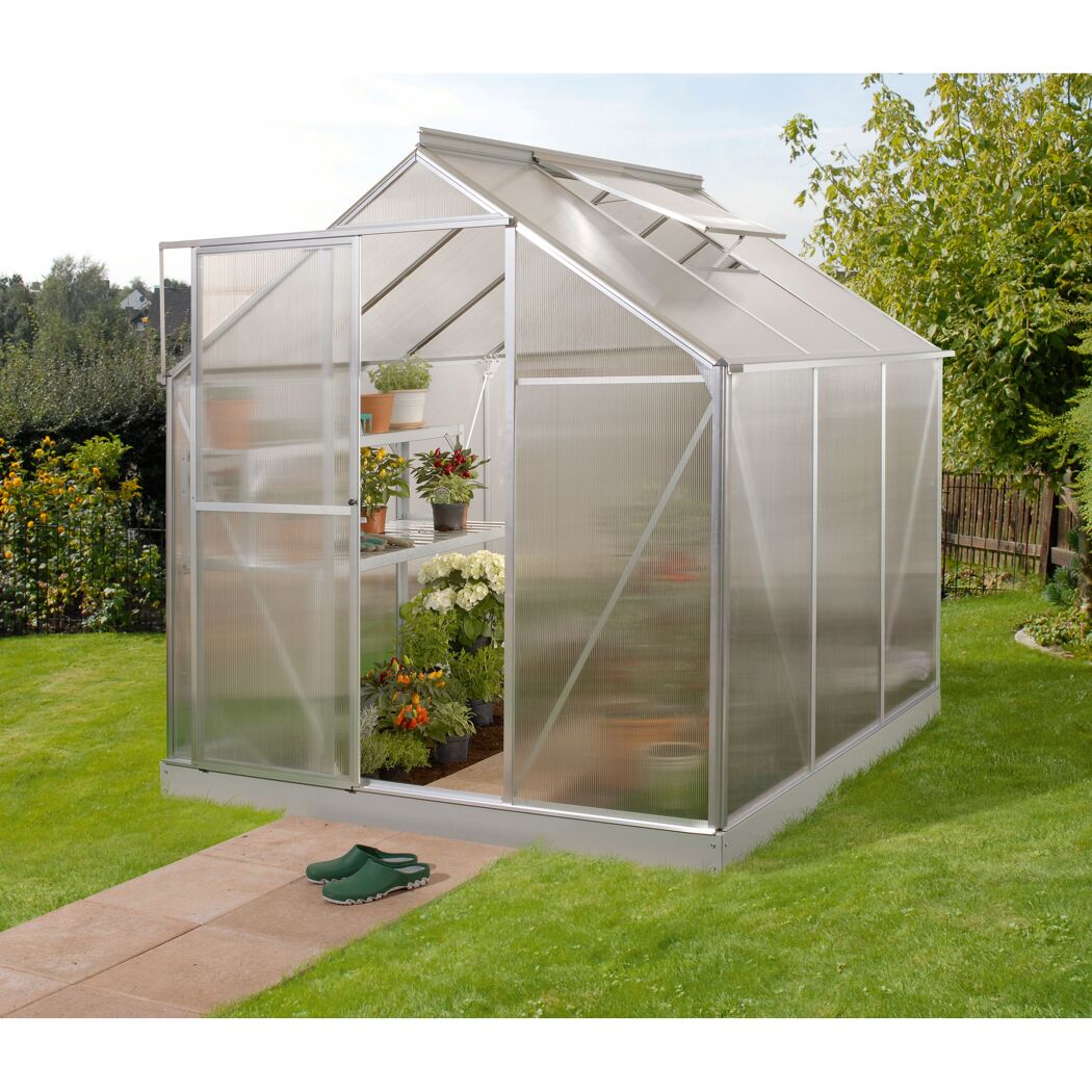 Kleines Gewächshaus mit geöffneter Tür im Garten.