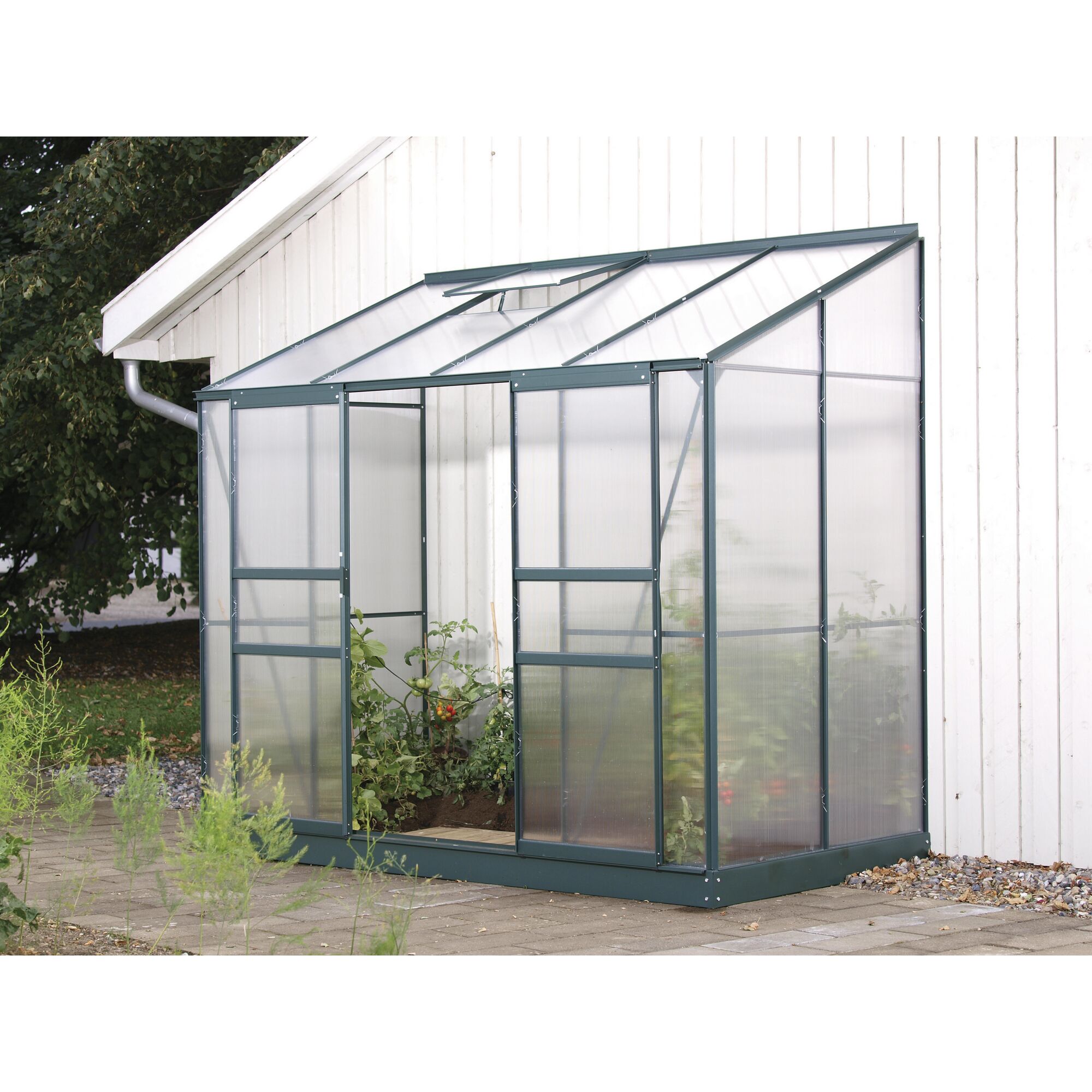 Kleines Gewächshaus mit Tomatenpflanzen