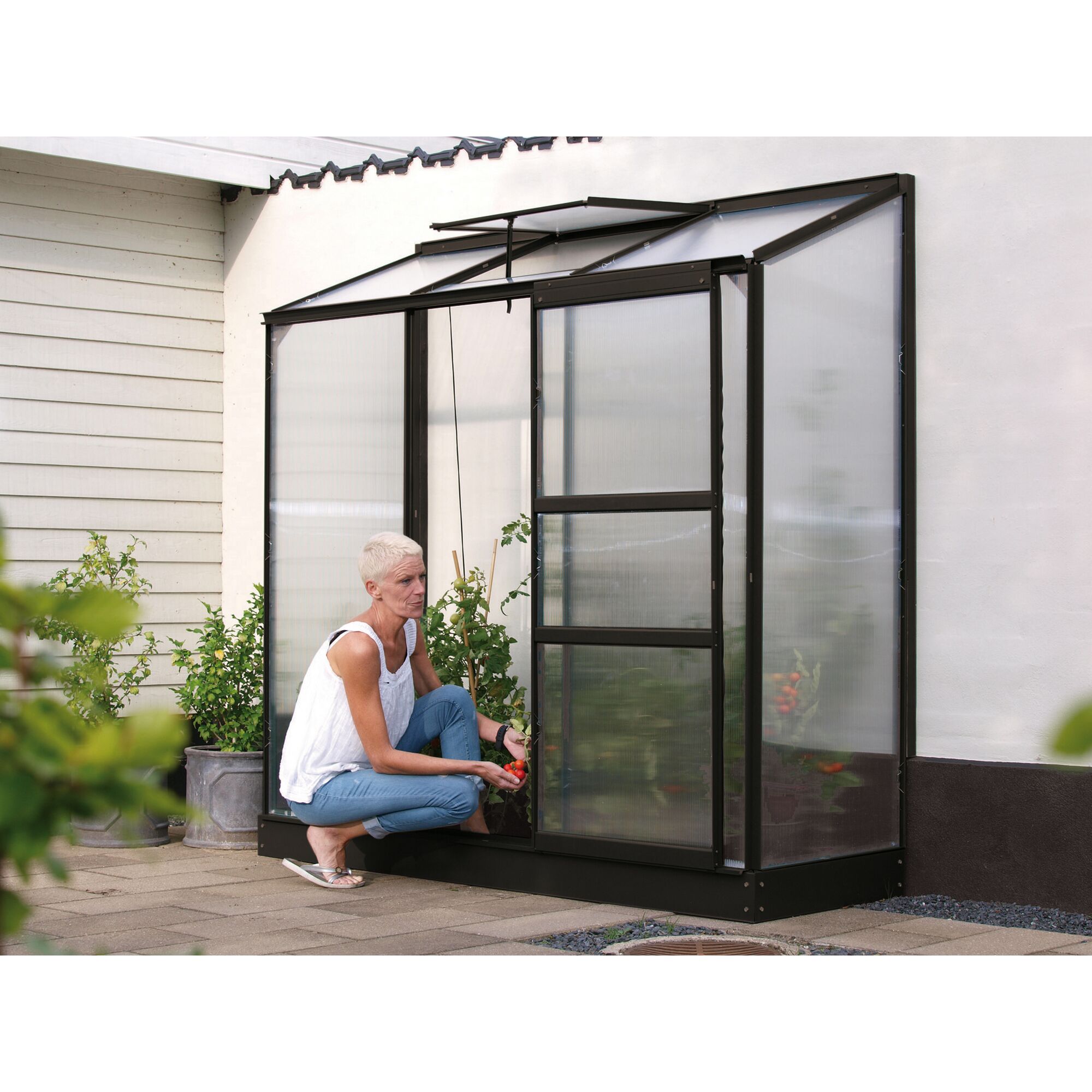 Person pflückt Tomaten in einem schwarzen Gewächshaus