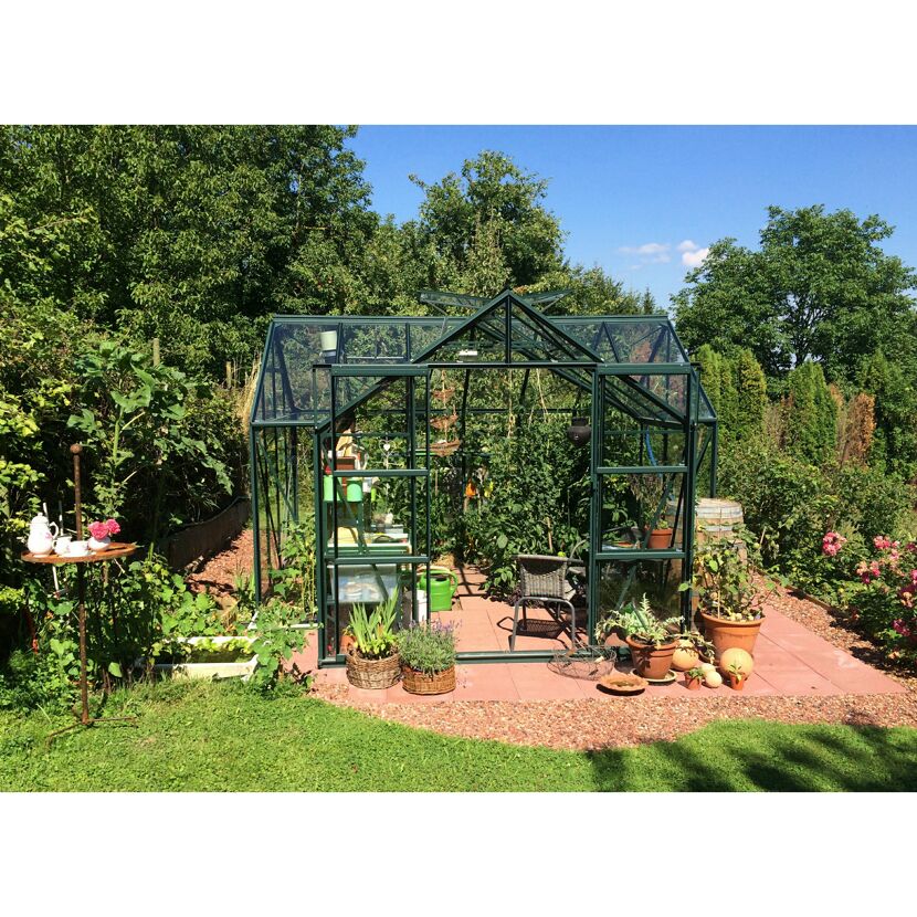 Gewächshaus Sirius im Garten