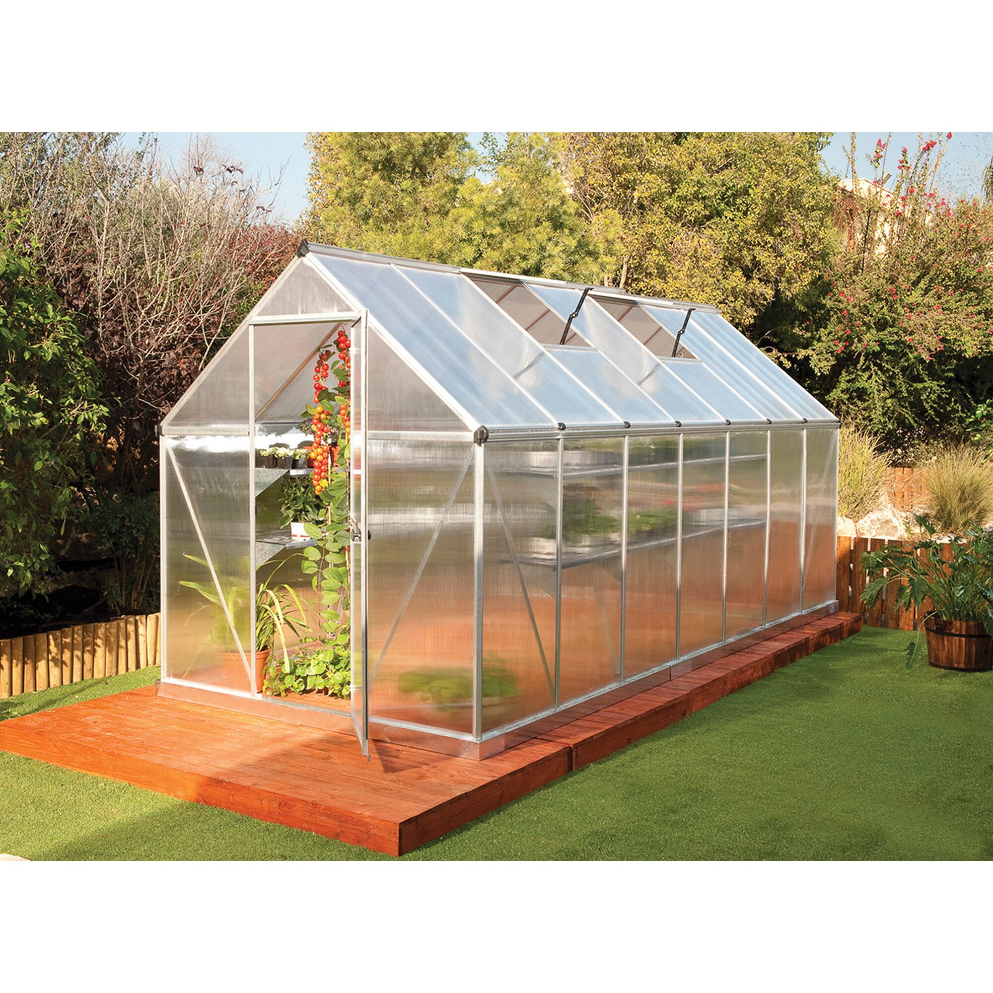 Gewächshaus Mythos 6x14 mit Tomatenpflanzen