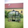 Gewächshaus 'Compact' 224 x 296 cm mit 10 mm Doppelstegplatten aluminiumfarben/schwarz