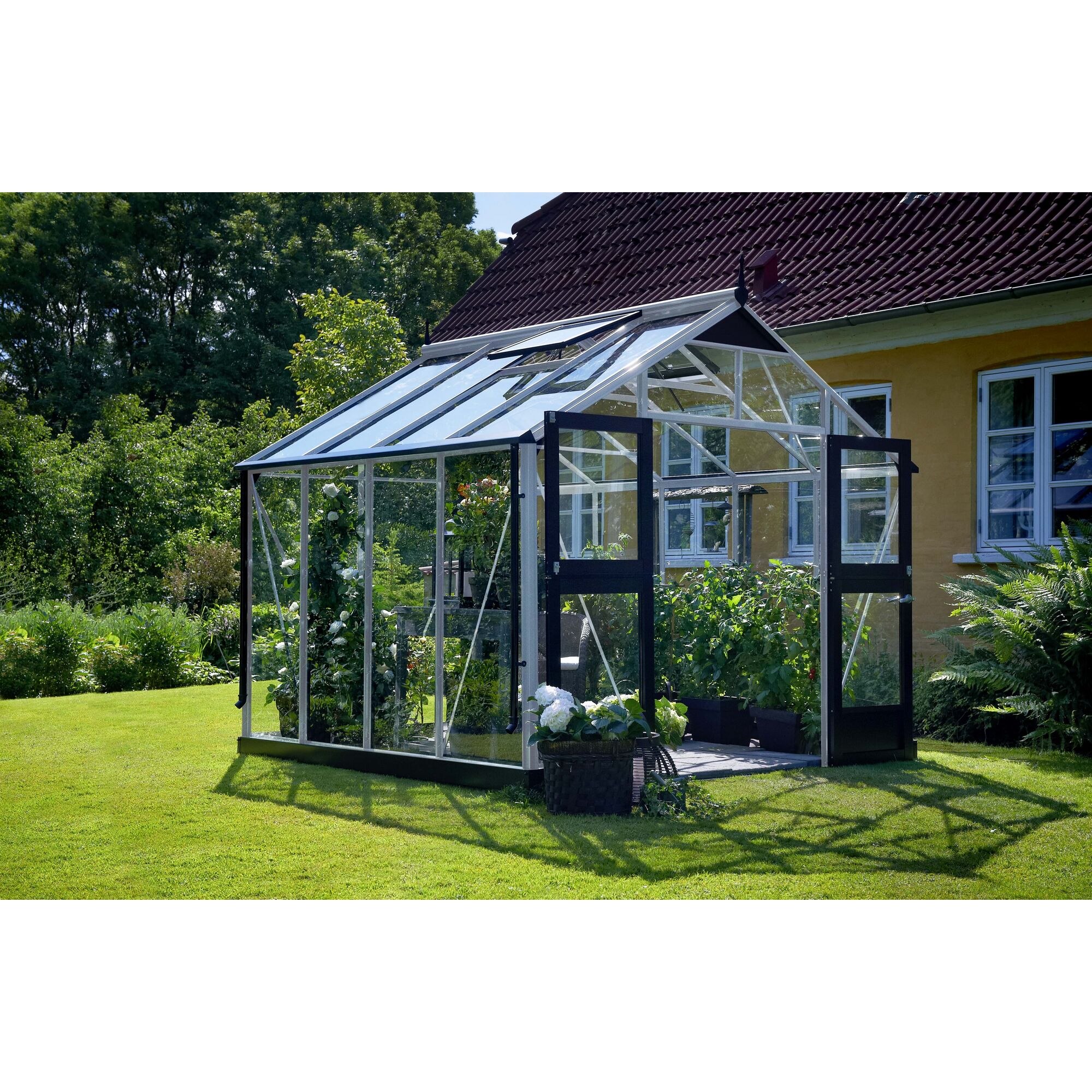 Gewächshaus GWH Premium mit Pflanzen und Möbeln