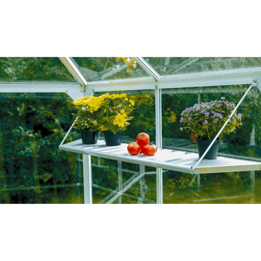Tomaten und Blumen auf einem Regal im Gewächshaus.