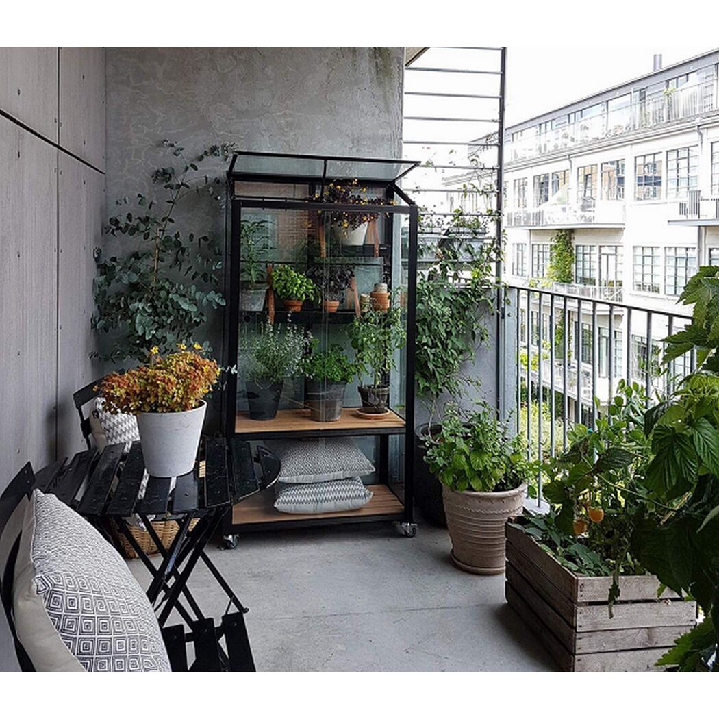 Kleines Gewächshaus und Pflanzen auf einem Balkon