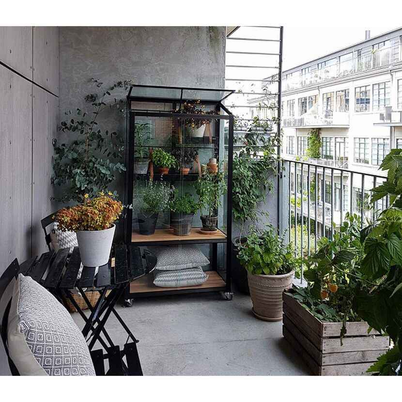 Kleines Gewächshaus und Pflanzen auf einem Balkon