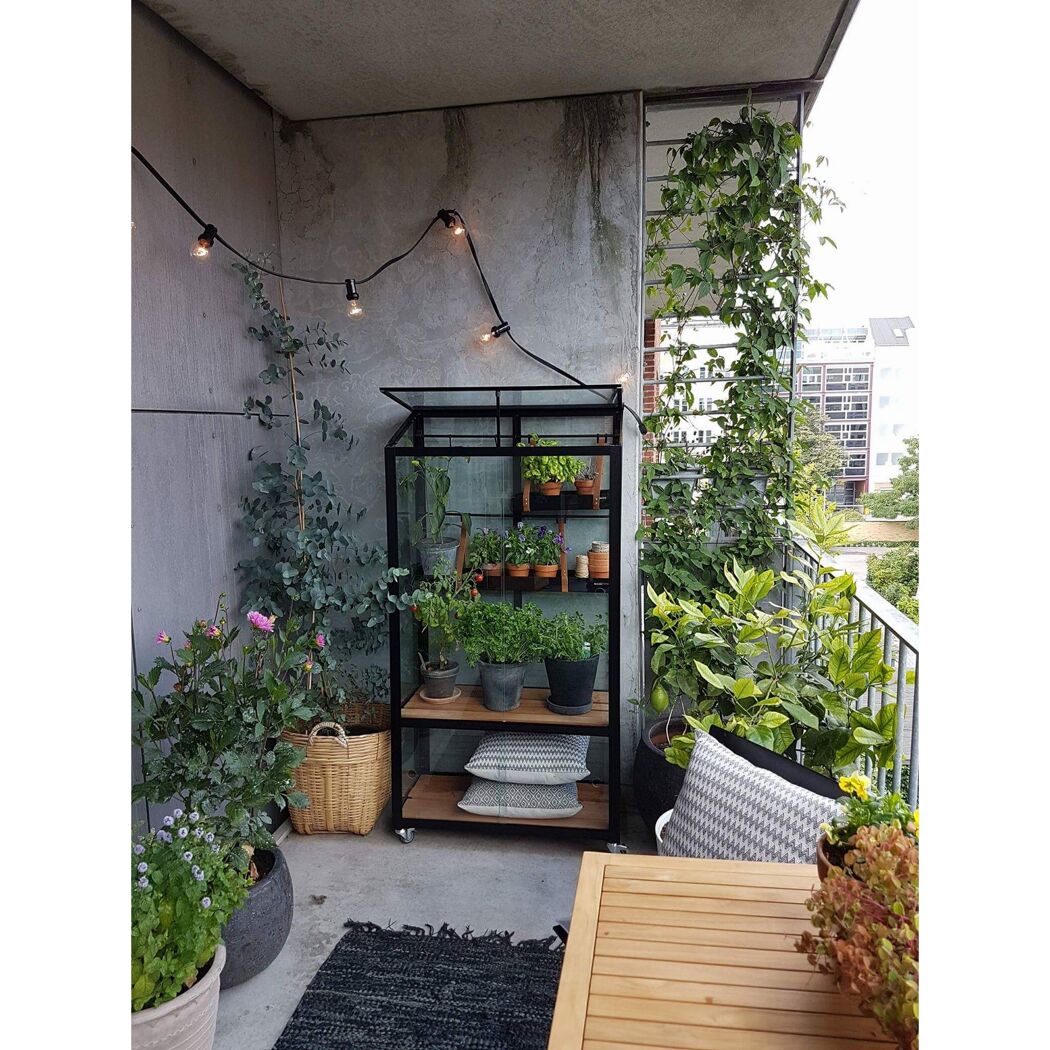 Kleines Gewächshaus und Pflanzen auf einem Balkon