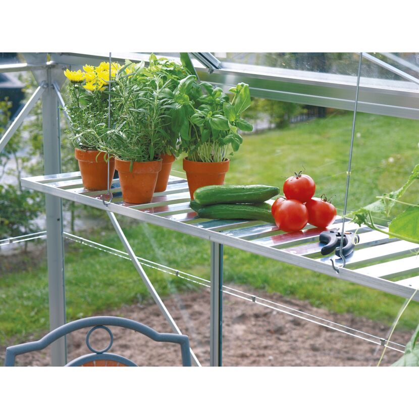 Tomaten, Gurken und Topfpflanzen auf einem Wandregal im Gewächshaus