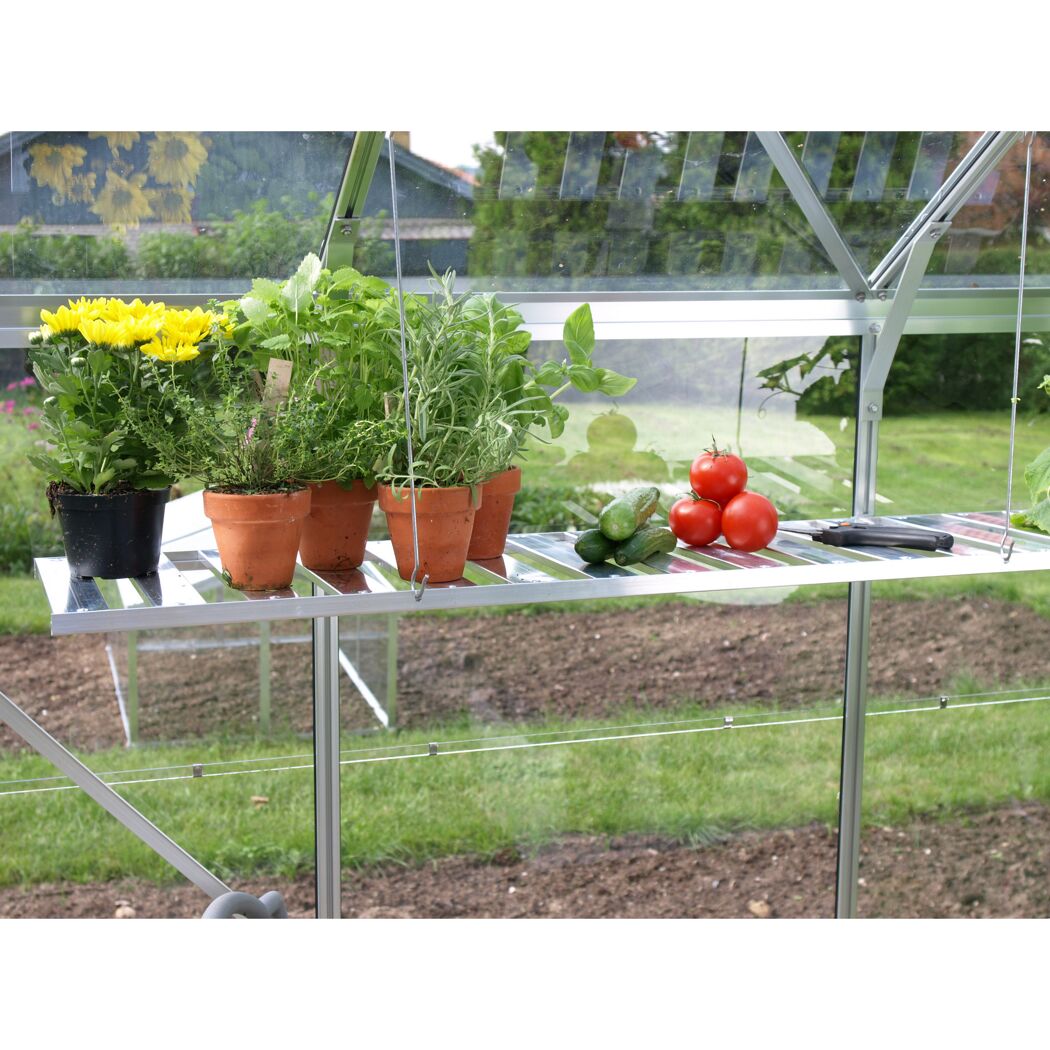 Blumen, Kräuter, Tomaten und Gurken auf einem Wandregal im Gewächshaus.