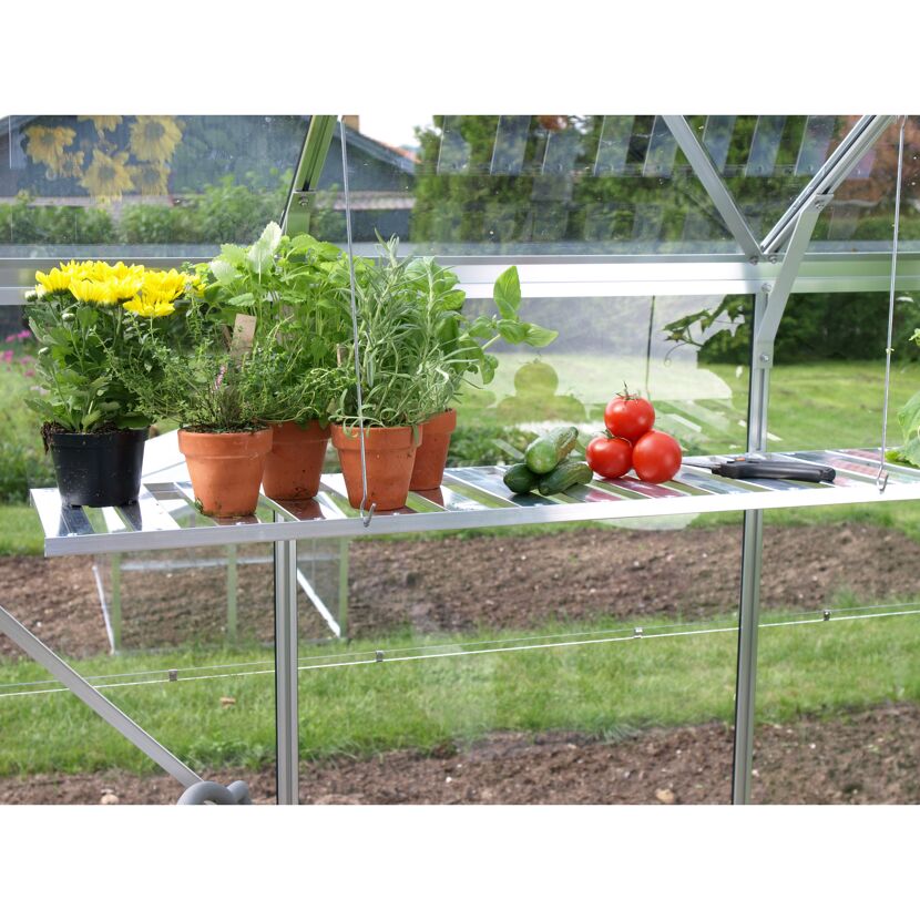 Blumen, Kräuter, Tomaten und Gurken auf einem Wandregal im Gewächshaus.