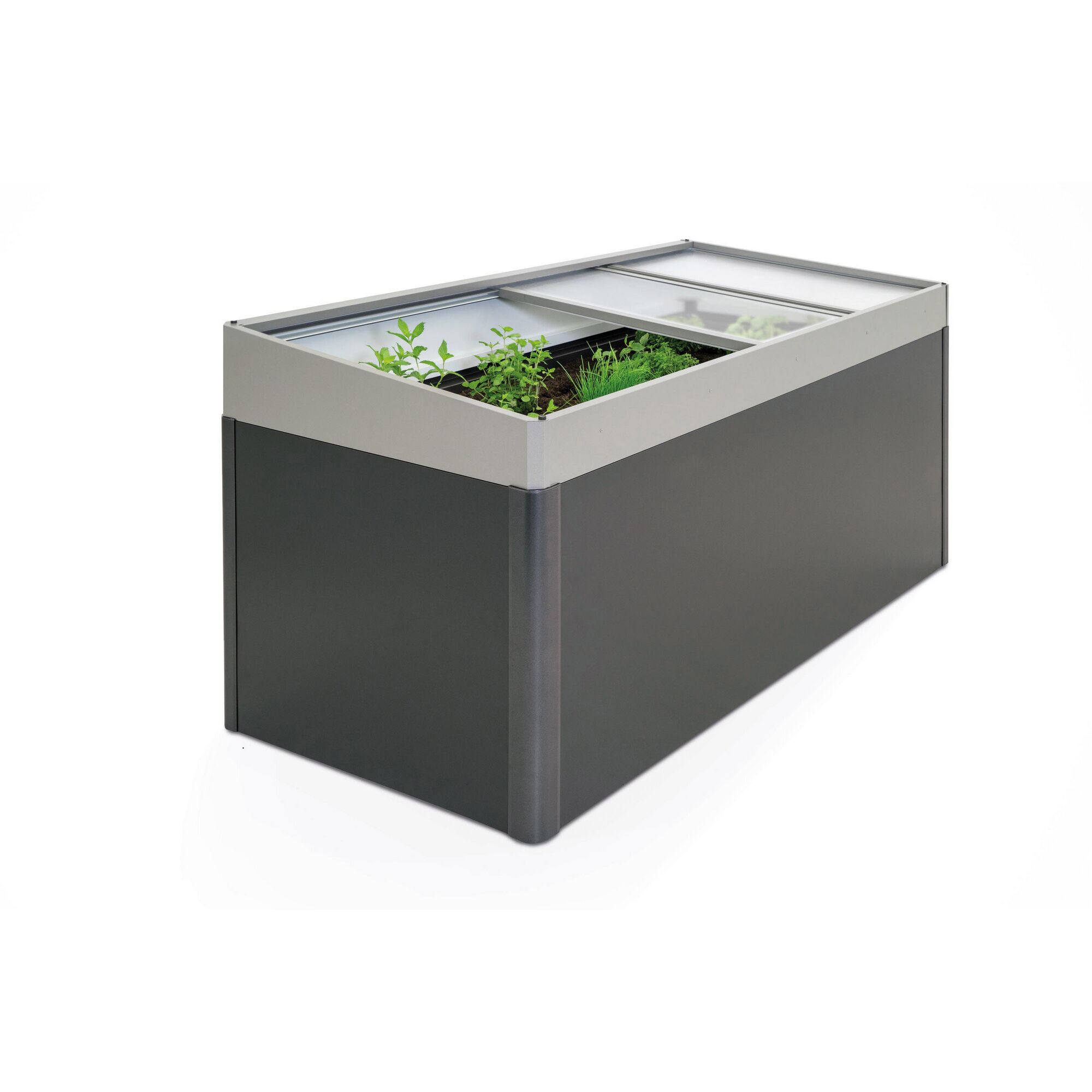 Frühbeet-Aufsatz mit Kräutern