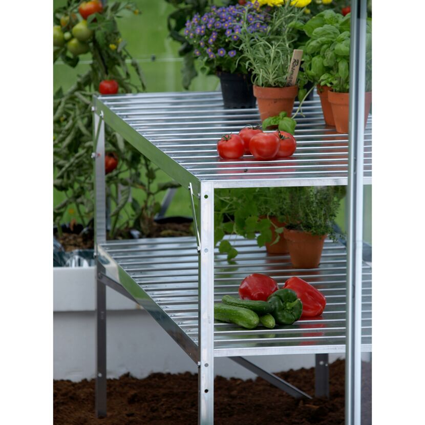 Tomaten, Paprika, Gurken und Kräuter auf einem zweistöckigen Gewächshaustisch aus Alu.