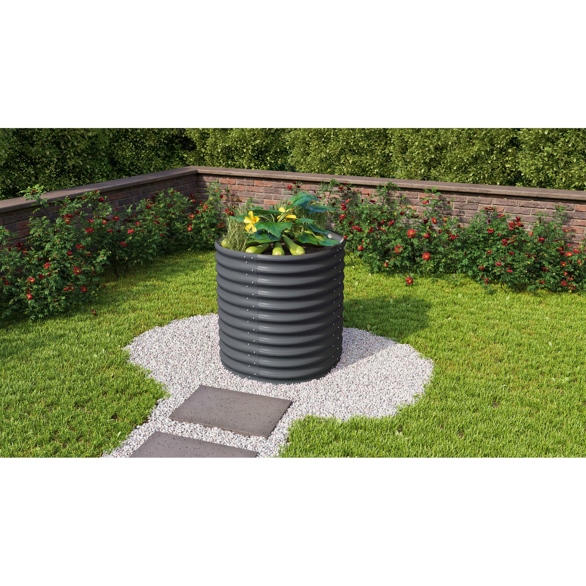 Rundes Hochbeet aus Metall mit Zucchini-Pflanze
