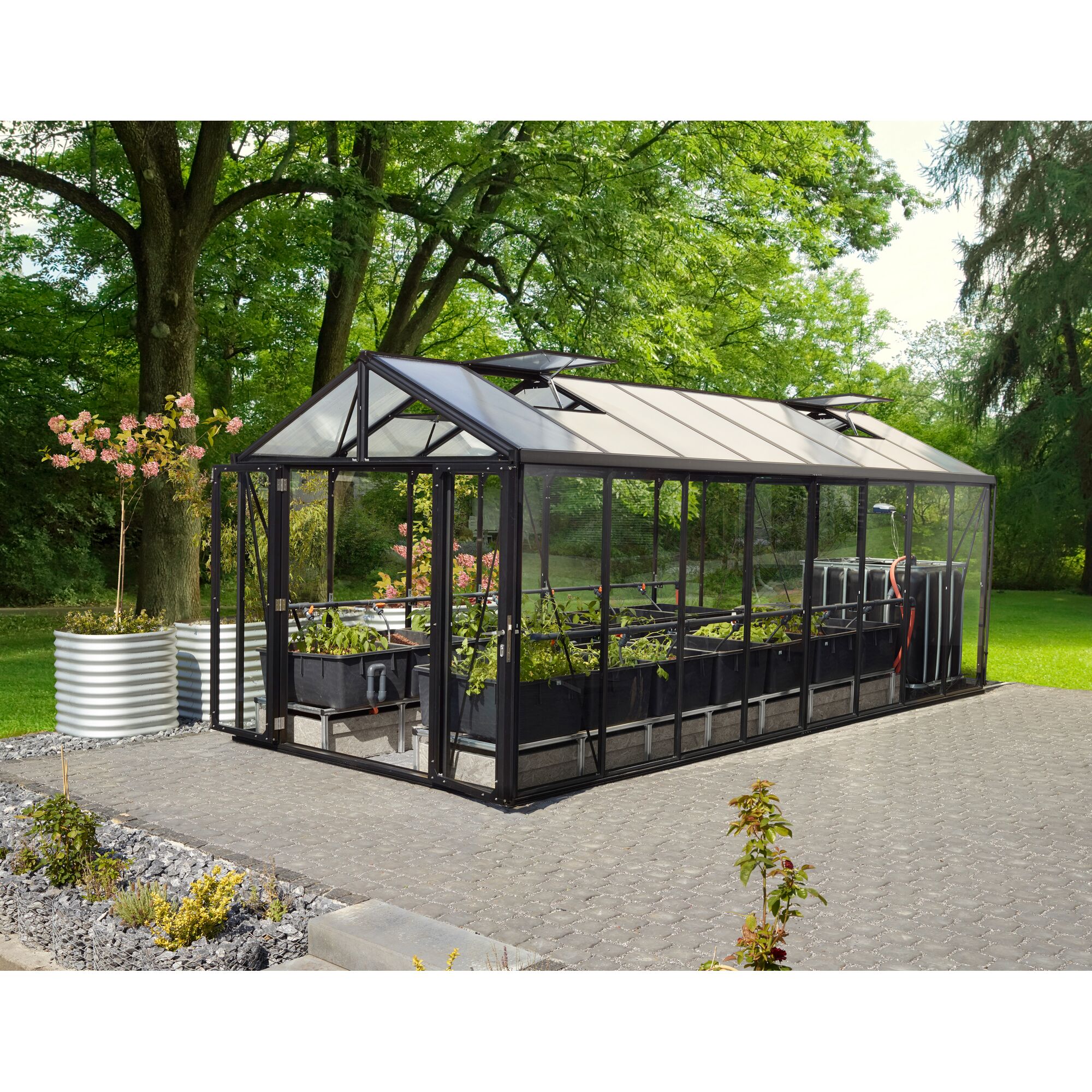 Gewächshaus Zeus Comfort mit Pflanzen