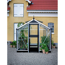 Verkleinertes Bild von Gewächshaus 'Compact' 5 m² 224 x 224 cm 3 mm Sicherheitsglas aluminiumfarben/schwarz