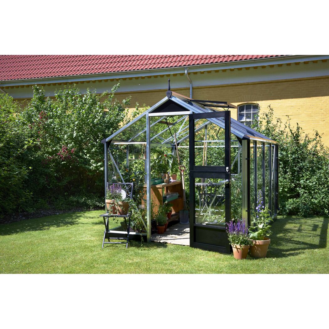 Gewächshaus 'Compact' 224 x 296 cm mit 3 mm Sicherheitsglas aluminiumfarben/schwarz