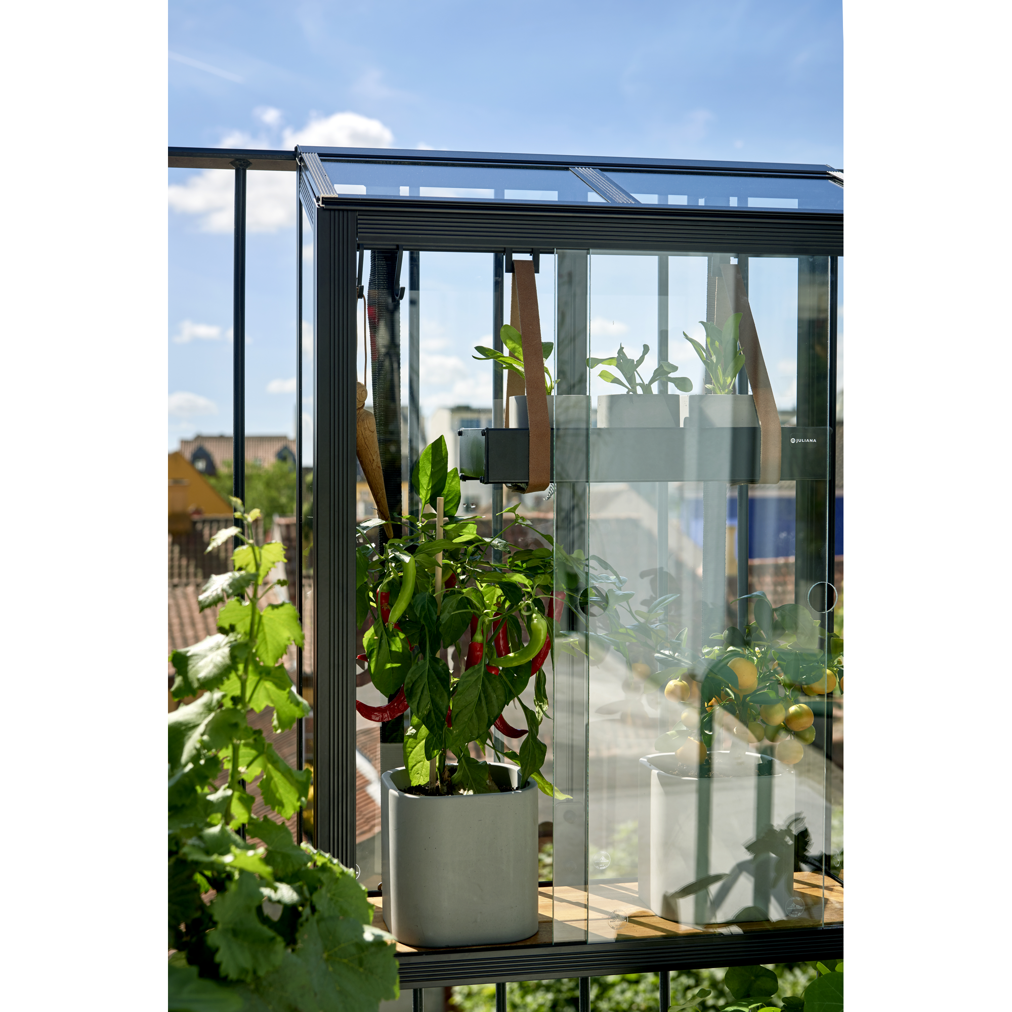 Balkon-Gewächshaus 'Urban Balcony' 60 x 27 x 84 cm 4 mm Sicherheitsglas schwarz + product picture
