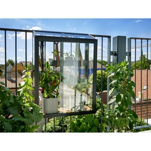 Balkon-Gewächshaus 'Urban Balcony' 60 x 27 x 84 cm 4 mm Sicherheitsglas schwarz