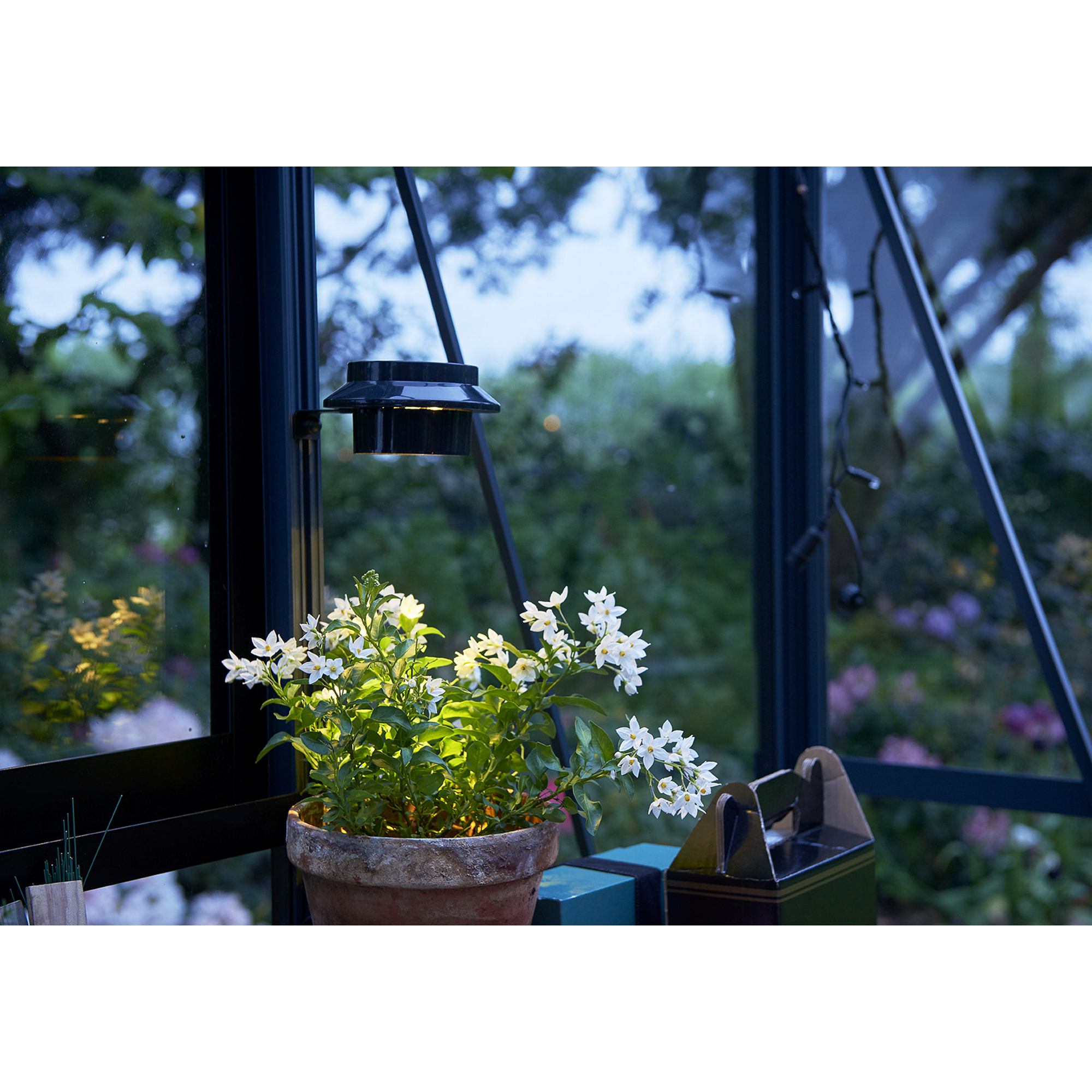 LED-Solar-Lampe für Gewächshäuser schwarz + product picture