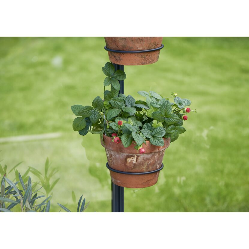 Pflanzentopfhalter Stahl schwarz Ø 14 cm