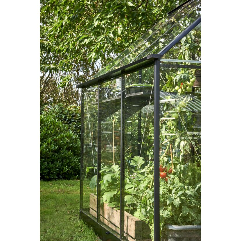 Gewächshaus 'Qube 66' 188,8 x 188,8 cm mit 3 mm Sicherheitsglas schwarz