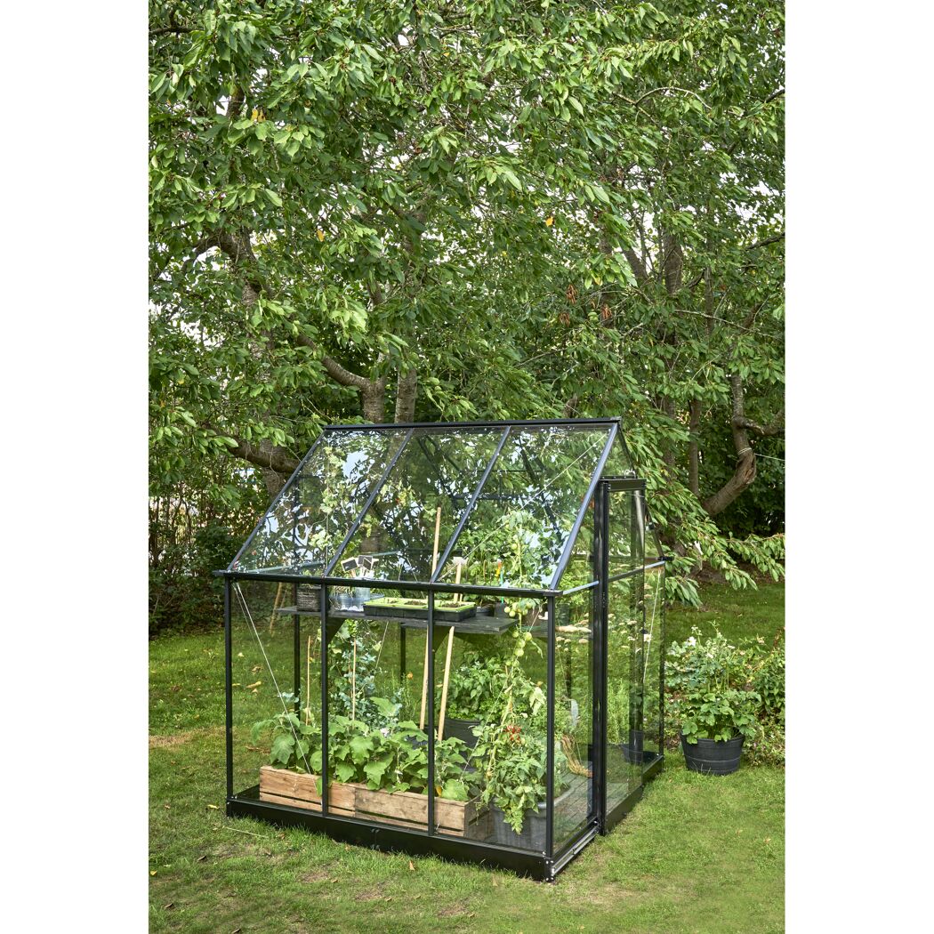 Gewächshaus 'Qube 66' 188,8 x 188,8 cm mit 3 mm Sicherheitsglas schwarz