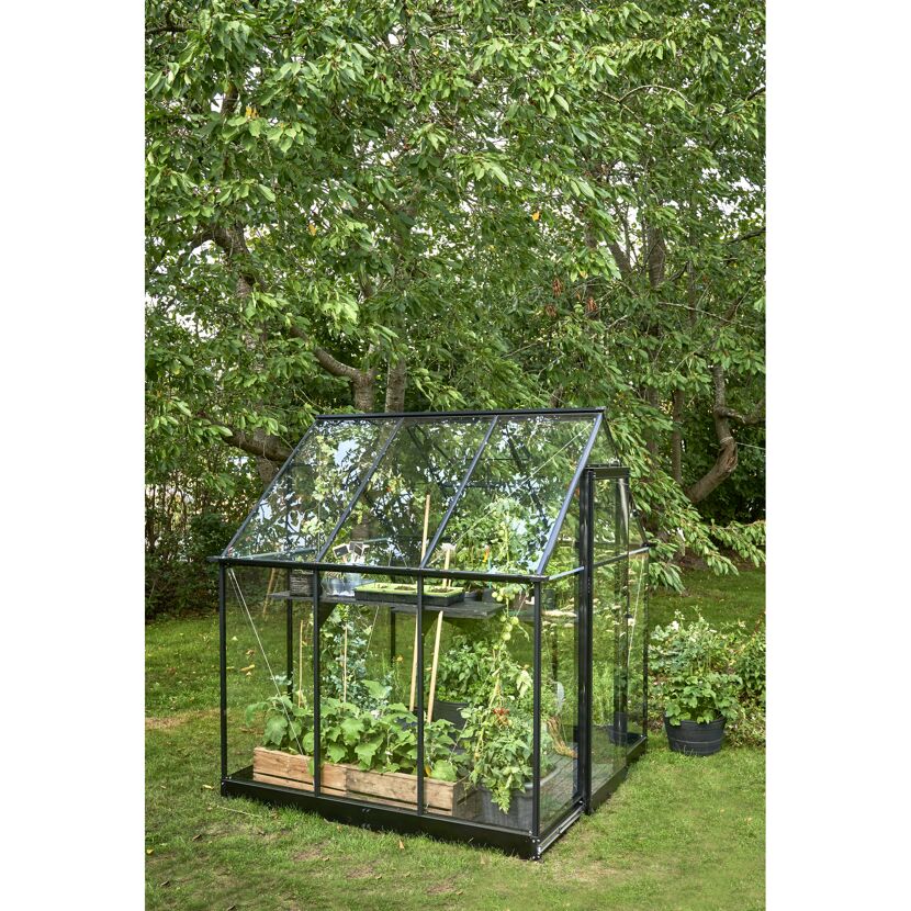 Gewächshaus 'Qube 66' 188,8 x 188,8 cm mit 3 mm Sicherheitsglas schwarz