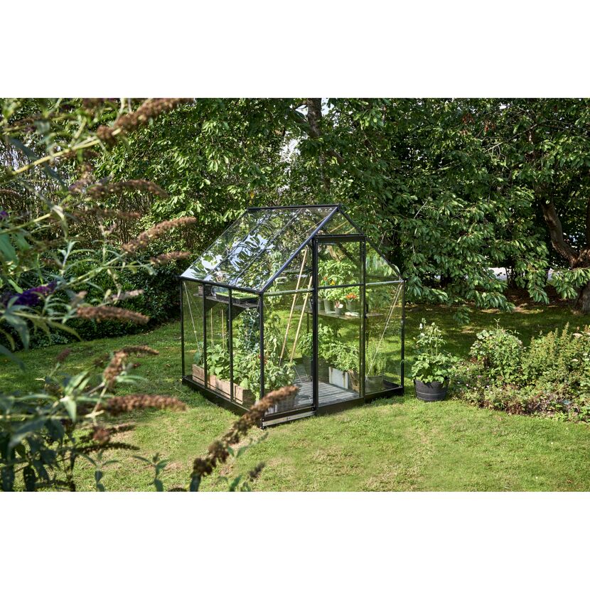Gewächshaus 'Qube 66' 188,8 x 188,8 cm mit 3 mm Sicherheitsglas schwarz