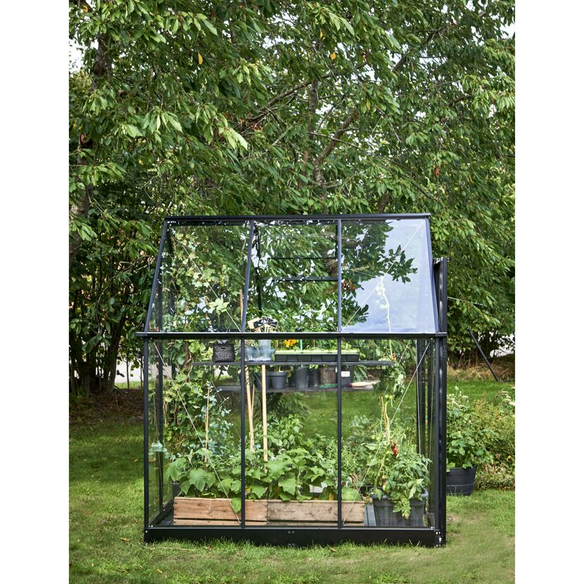 Gewächshaus 'Qube 66' 188,8 x 188,8 cm mit 3 mm Sicherheitsglas schwarz