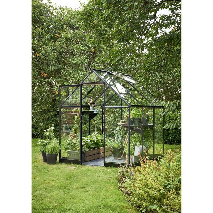 Gewächshaus 'Qube 66' 188,8 x 188,8 cm mit 3 mm Sicherheitsglas schwarz
