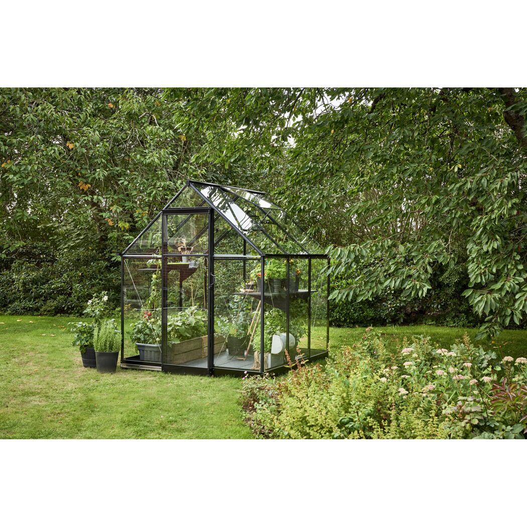 Gewächshaus 'Qube 66' 188,8 x 188,8 cm mit 3 mm Sicherheitsglas schwarz