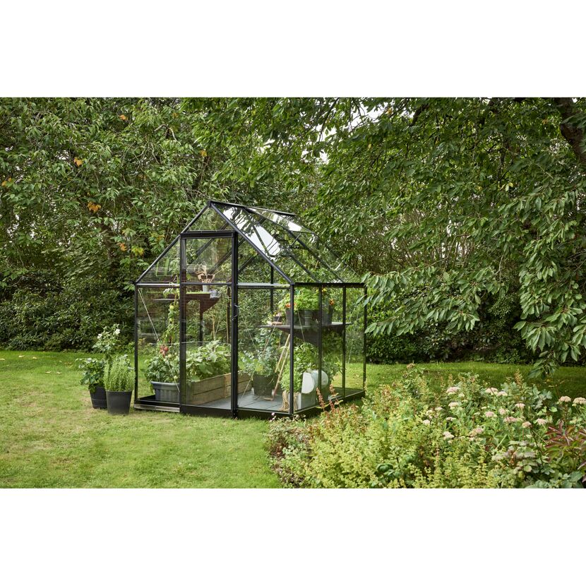Gewächshaus 'Qube 66' 188,8 x 188,8 cm mit 3 mm Sicherheitsglas schwarz