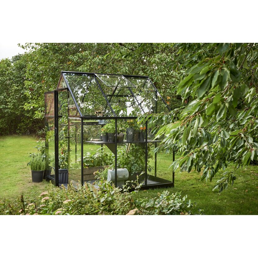 Gewächshaus 'Qube 66' 188,8 x 188,8 cm mit 3 mm Sicherheitsglas schwarz