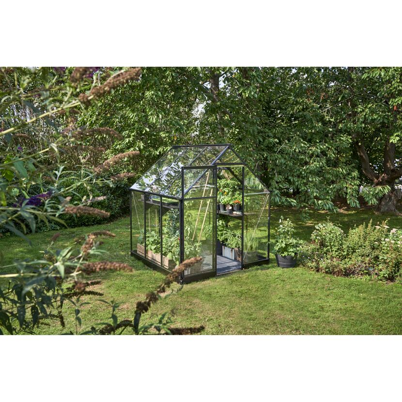 Gewächshaus 'Qube 66' 188,8 x 188,8 cm mit 3 mm Sicherheitsglas schwarz