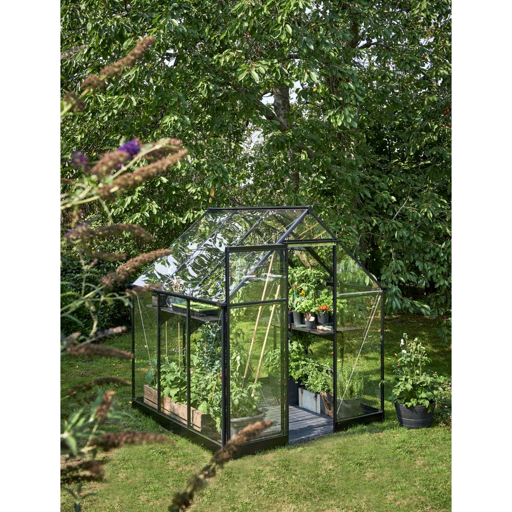 Gewächshaus 'Qube 66' 188,8 x 188,8 cm mit 3 mm Sicherheitsglas schwarz