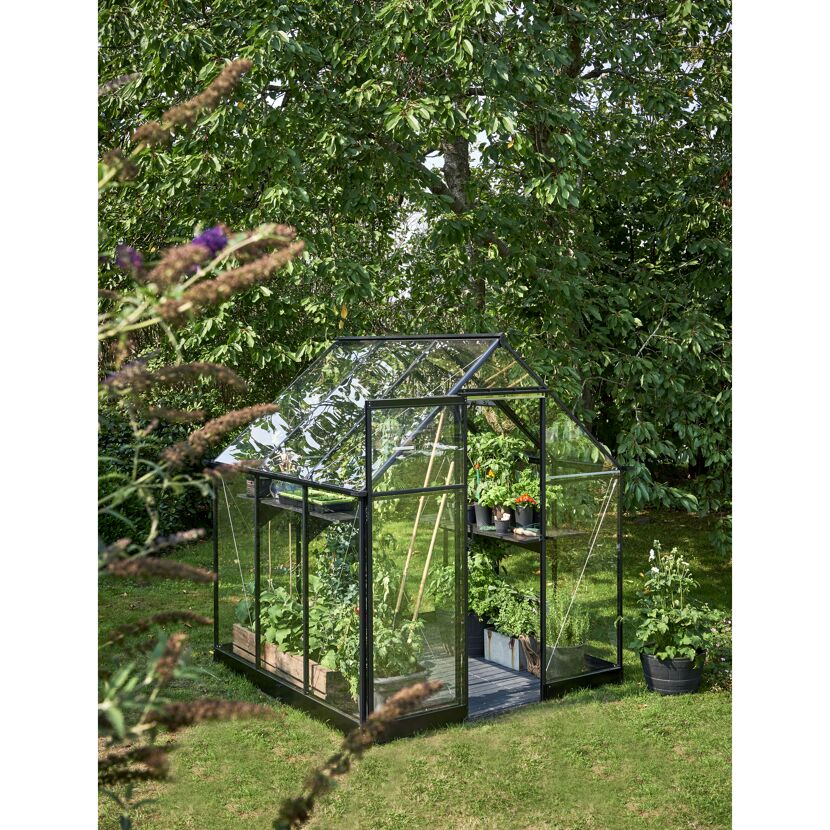 Gewächshaus 'Qube 66' 188,8 x 188,8 cm mit 3 mm Sicherheitsglas schwarz