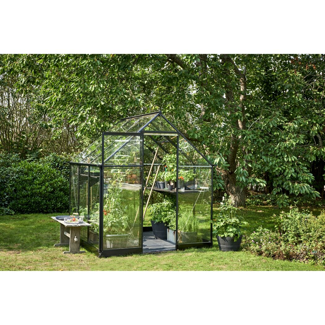 Gewächshaus 'Qube 66' 188,8 x 188,8 cm mit 3 mm Sicherheitsglas schwarz